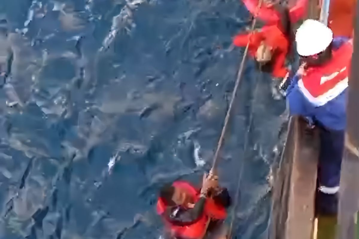 Detik-Detik Mencekam KM Virgo Transport 8 Terbalik di Laut Jawa: Firasat Buruk dan Peringatan Tengah Malam