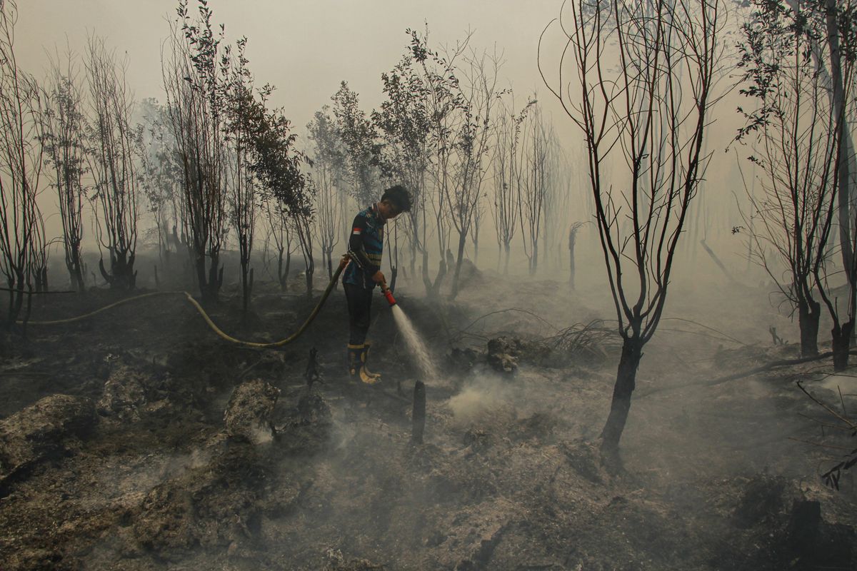 Senjata Cair dari Brasil Turun ke Lapangan: Langkah Baru Jinakkan Karhutla di Sumatera dan Kalimantan