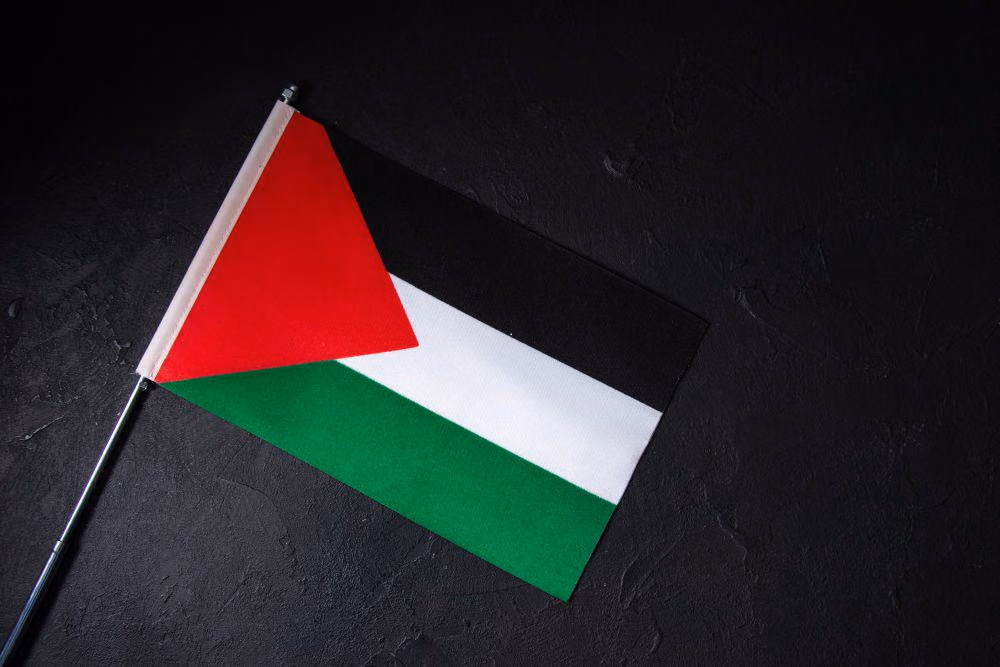 5 Fakta Terkait Deportasi WN Palestina Abdul Karim ke Siprus