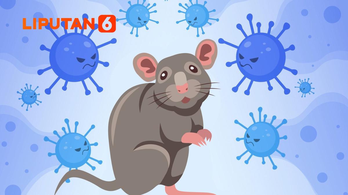 Tiga Kasus Hantavirus Ditemukan di Jakarta, Enam Suspek Dalam Pemantauan