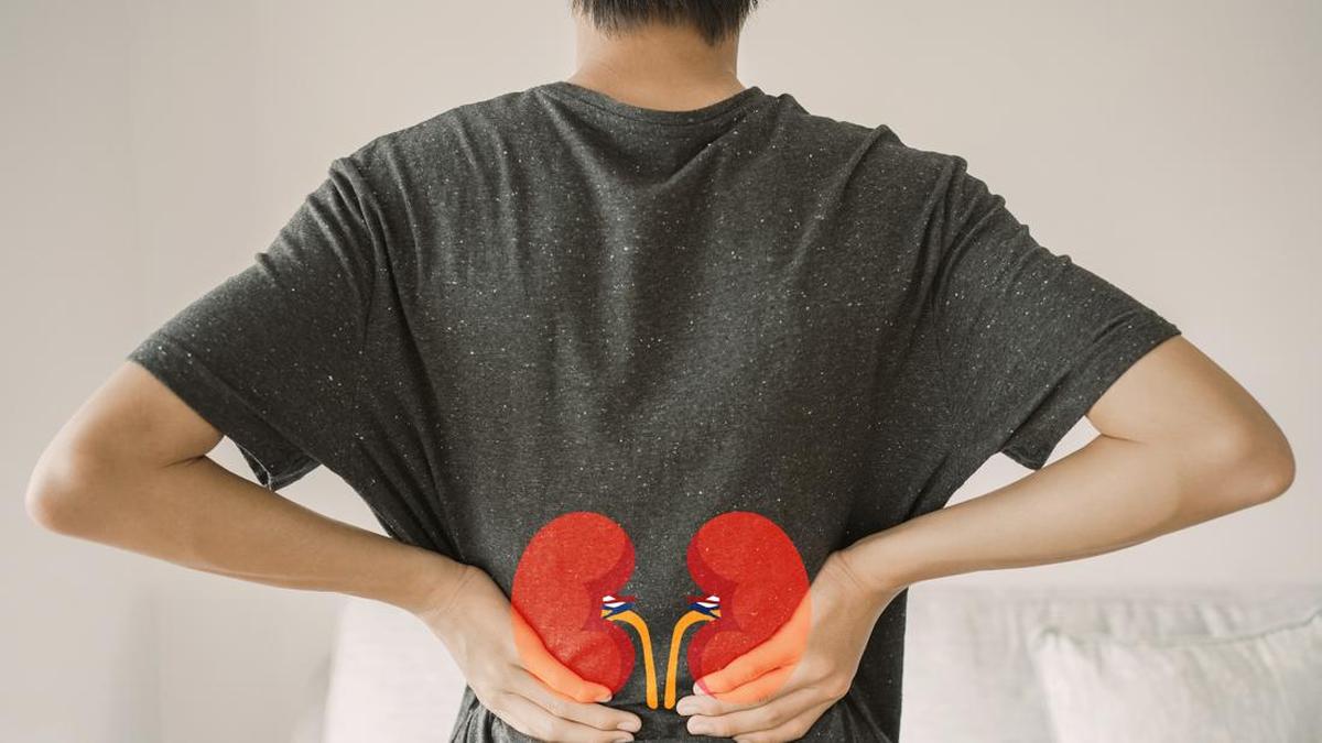 Dampak Kebiasaan Konsumsi Daging Merah Olahan terhadap Kesehatan Ginjal