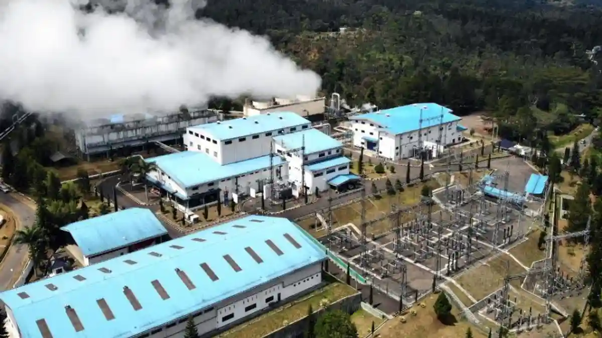 Pendapatan PT Futura Energi Global Tbk Menurun Drastis di Awal 2026