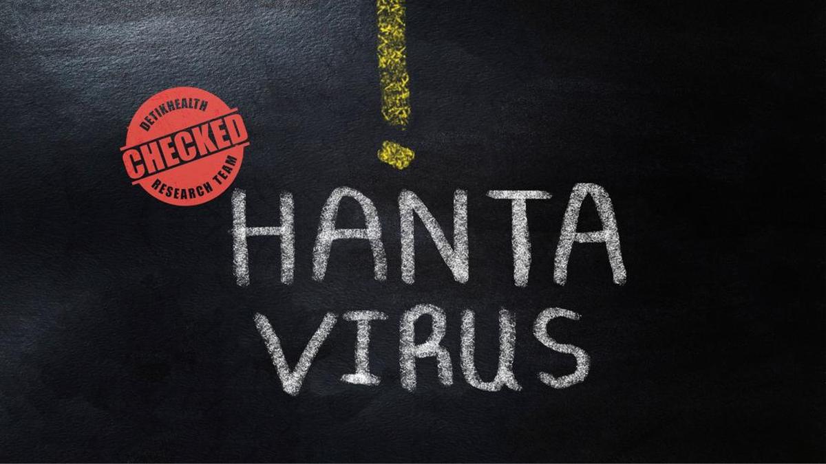 Mengenal Virus Andes: Ancaman Baru di Tengah Isu Hantavirus