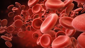 Dampak Rendahnya Kadar Hemoglobin pada Tubuh Manusia