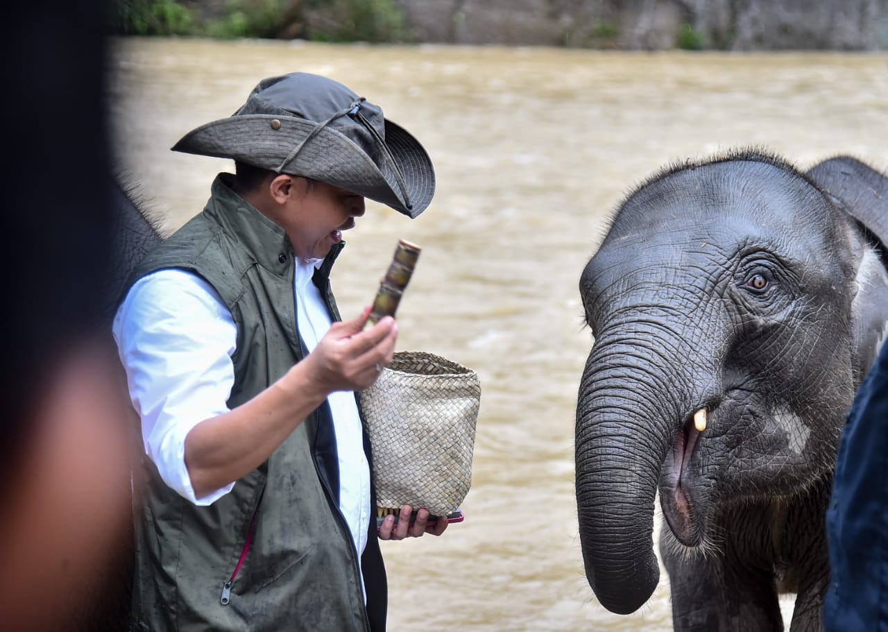 Apresiasi FKGI terhadap Inpres Gajah yang Diterbitkan Raja Juli Antoni