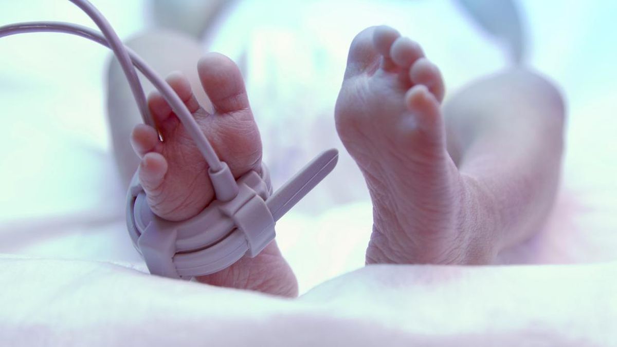 Kematian Bayi 24 Hari: Bahaya Memberikan Makanan Sebelum Usia 6 Bulan