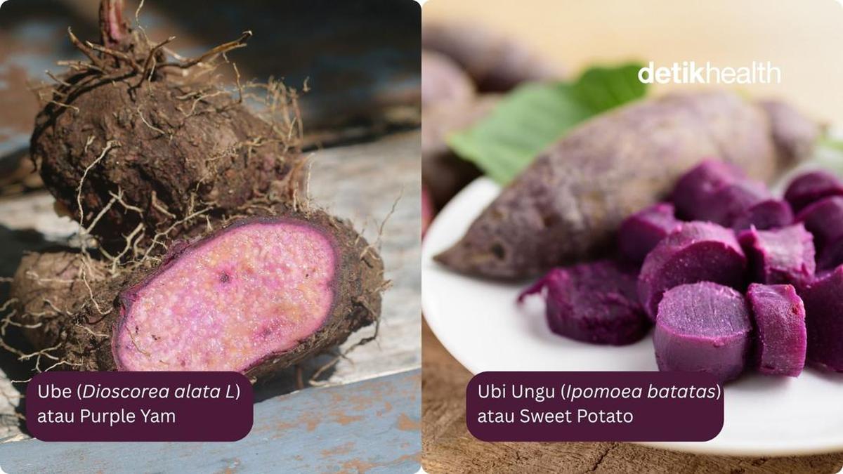 Perbedaan Ube dan Ubi Ungu: Mengapa Keduanya Memiliki Warna yang Sama?