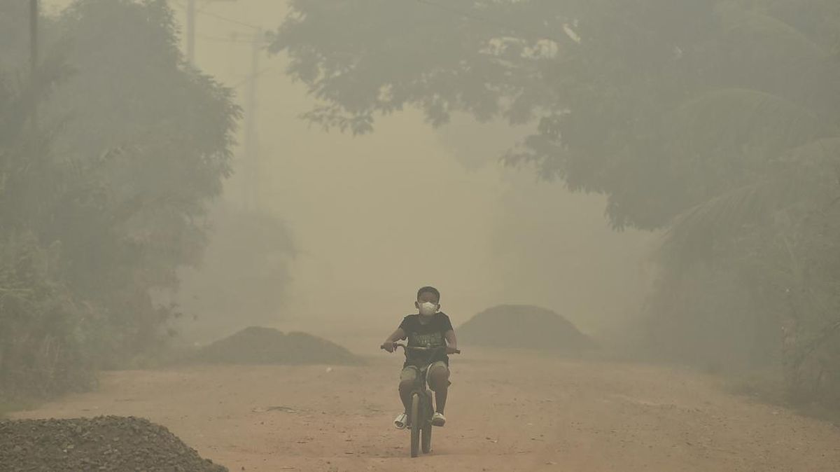 Durasi Pemulihan Tubuh Setelah Terpapar Asap Kebakaran Hutan