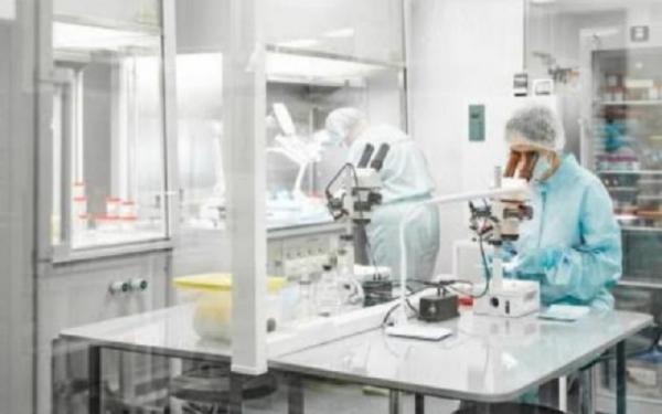 Risiko Penularan Hantavirus di Lingkungan Terbuka Dinilai Rendah