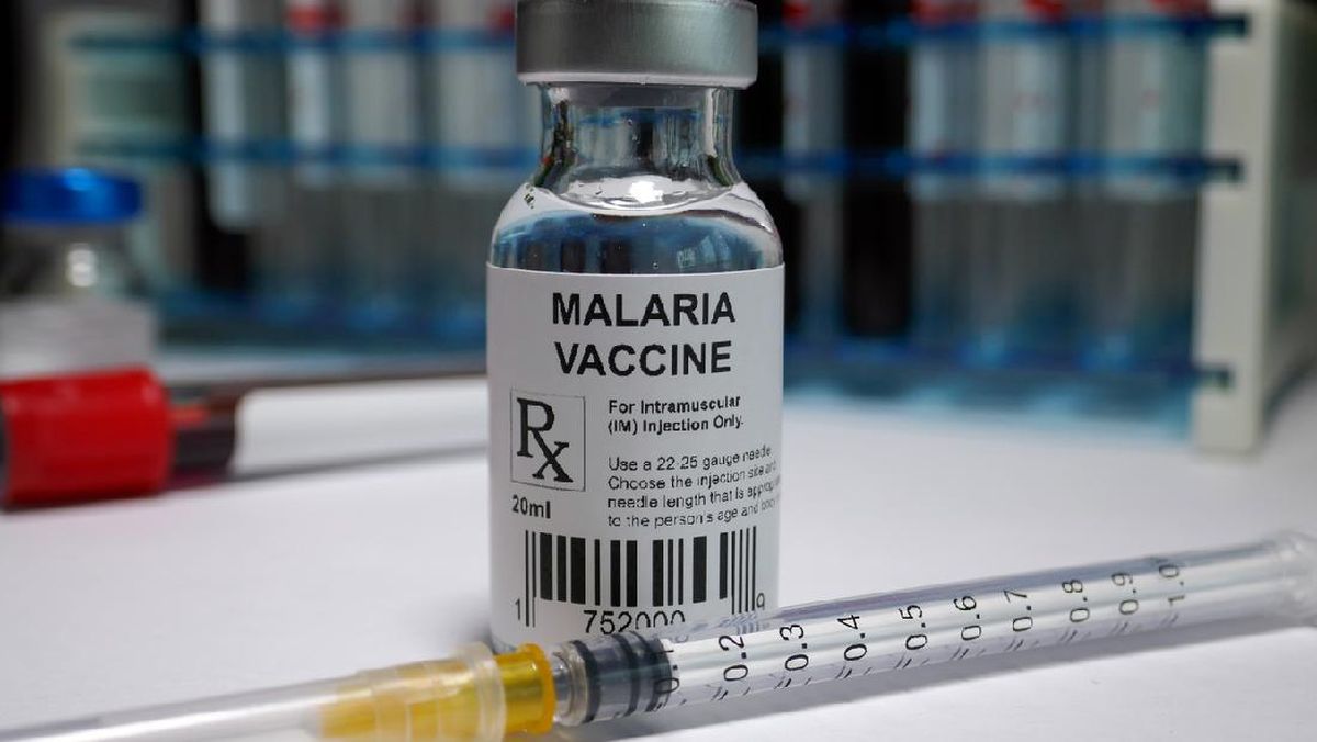 Ilustrasi vaksin malaria (Foto: Getty Images/iStockphoto/Hailshadow)
