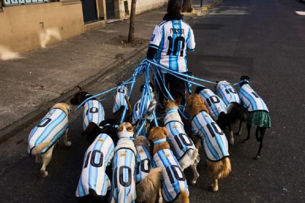 Keceriaan Piala Dunia: 13 Anjing Berjersi Timnas Argentina Menghibur Warga Buenos Aires