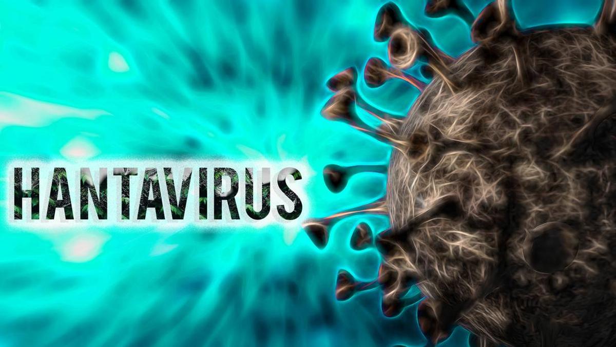 Tiga Kasus Hantavirus Ditemukan di Jakarta, Enam Suspek Masih Dalam Pengawasan