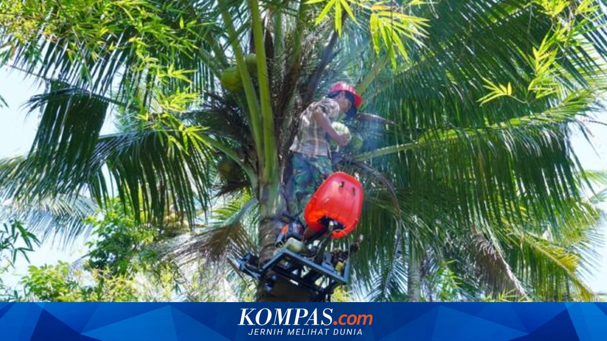 Inovasi Alat Panjat Kelapa dari ITS Dilengkapi Fitur Keamanan