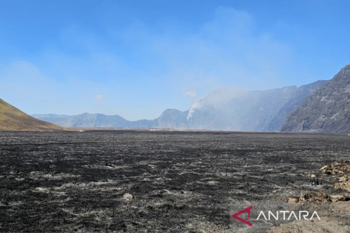 Usulan Tiga Strategi Baru untuk Cegah Kebakaran Hutan dan Lahan