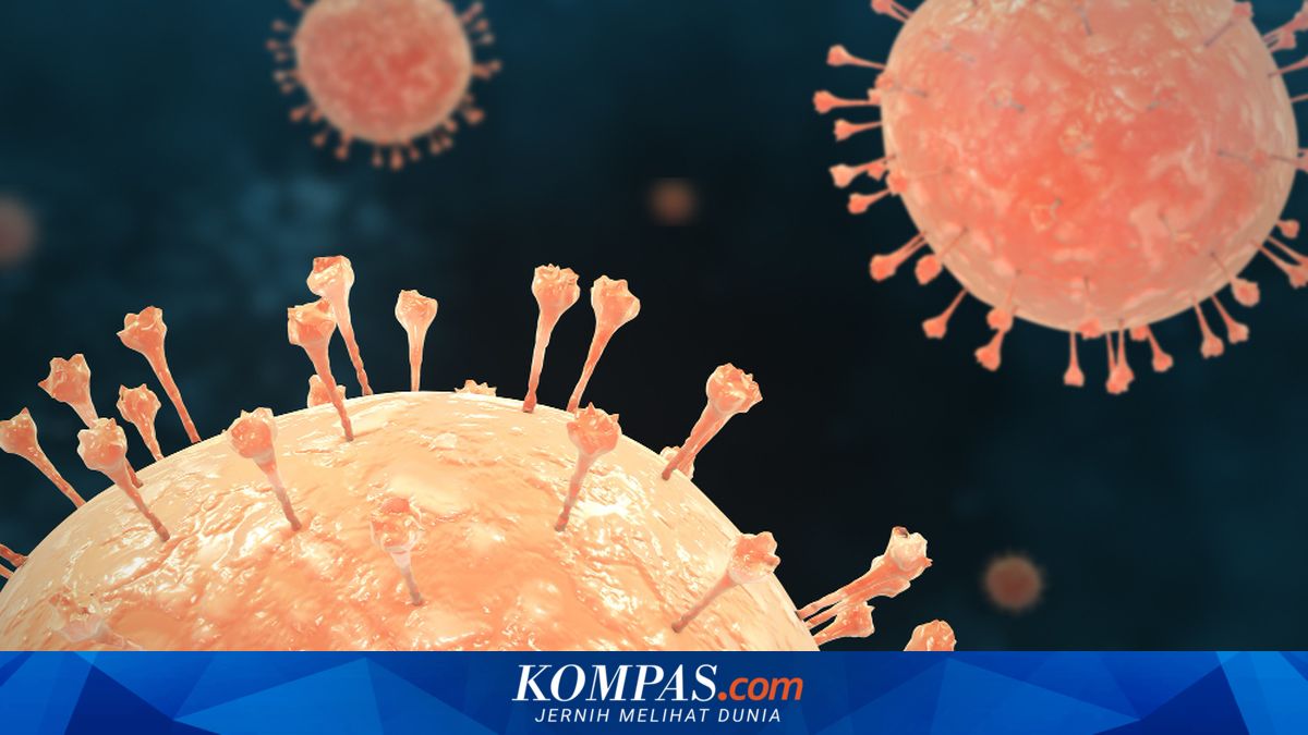 Pakar Kesehatan Ungkap Risiko dan Gejala Hantavirus Setelah Insiden di Kapal Pesiar