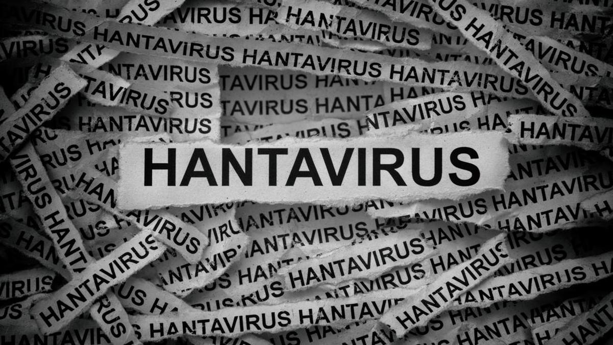 ---
IDAI: Fokus pada Difteri dan Campak, Hantavirus Tidak Perlu Dikhawatirkan Berlebihan

---