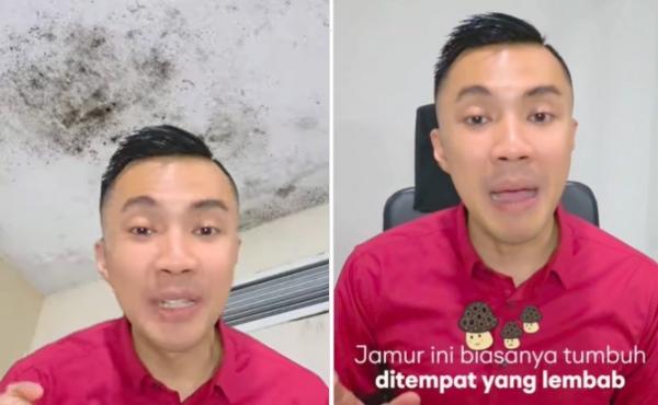 Waspadai Bercak Hitam di Rumah, Dokter Jelaskan Bahaya Black Mold