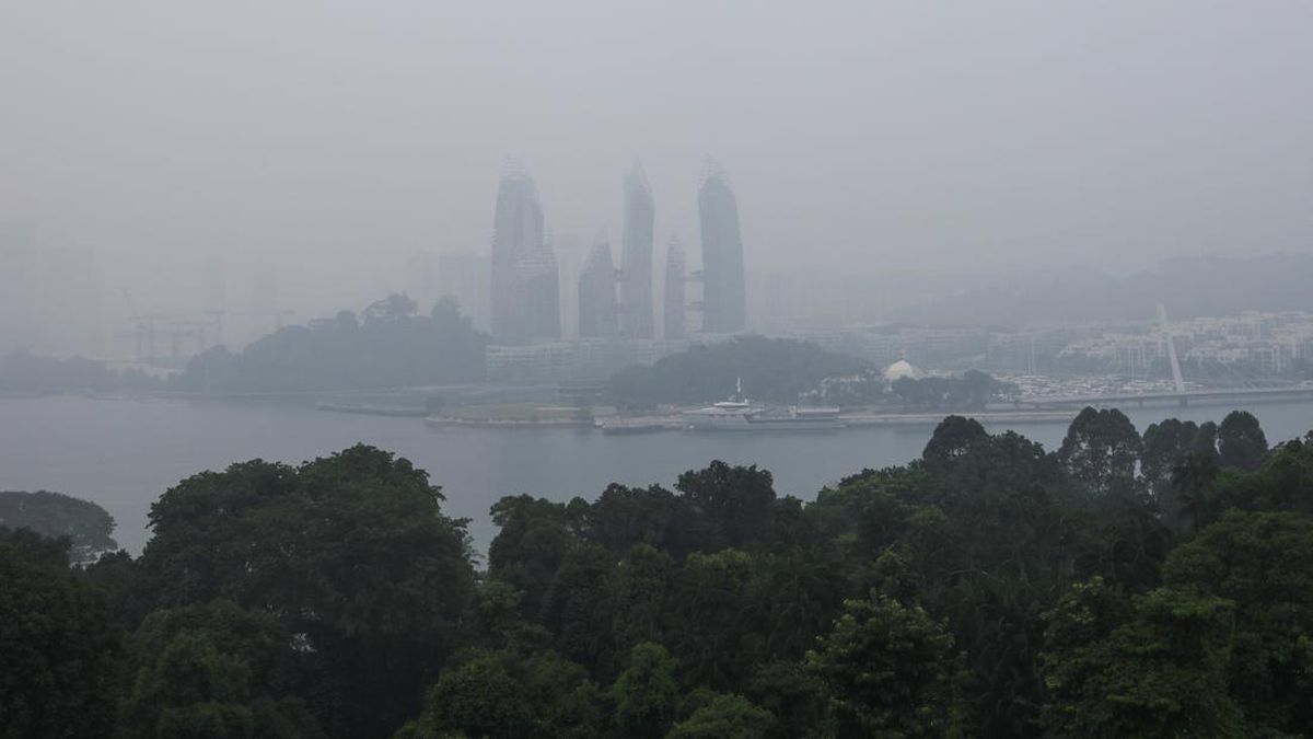 Pemerintah Singapura Mulai Distribusi Masker N95 Gratis di Tengah Kabut Asap