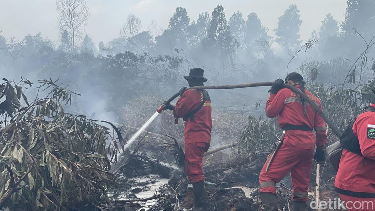 Kualitas Udara di Daerah Terdampak Kebakaran Hutan Mencapai Level Berbahaya