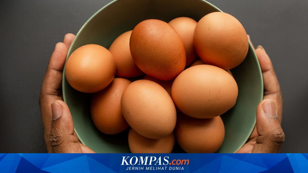 Alasan Mengapa Telur Ayam Besar Dijual dengan Harga Lebih Rendah