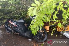 Kecelakaan Tragis: Nazmudin Meninggal Dunia Akibat Tertimpa Pohon Tumbang Saat Berteduh