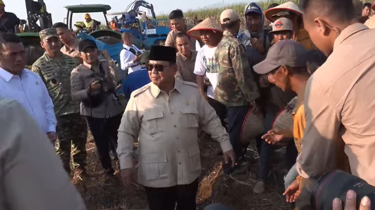 Prabowo: Yang Menganggap Beras Mahal, Ayo Tanam Padi Sendiri