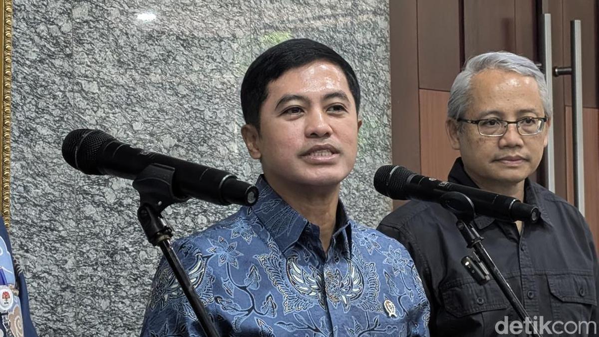 Wamenkes Dante Saksono Harbuwono (Foto: Nafilah Sri Sagita/detikHealth)