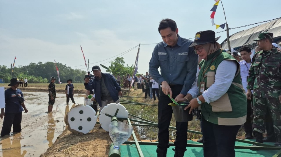 Keberhasilan Pertanian Indramayu: Lucky Hakim Ungkap Strategi Sukses Panen Padi
