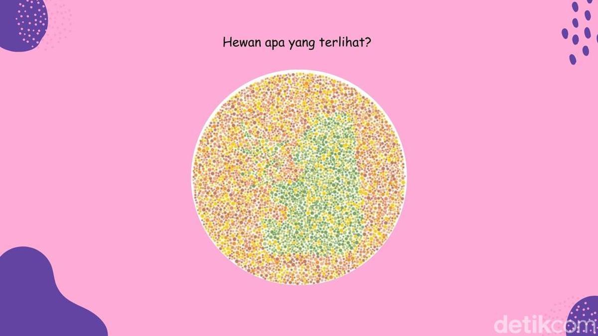 Tantangan Menemukan Panda di Antara Warna-Warni yang Acak