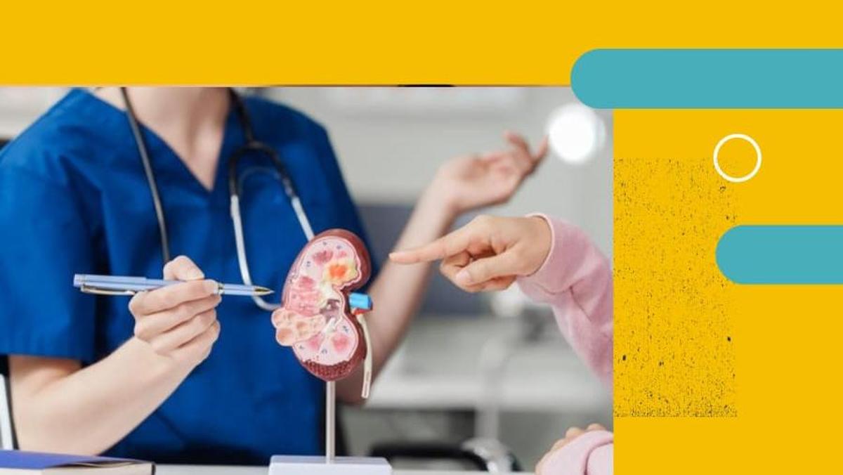 Apakah Menahan Kencing Memicu Kanker Ginjal? Simak Faktanya di Sini
