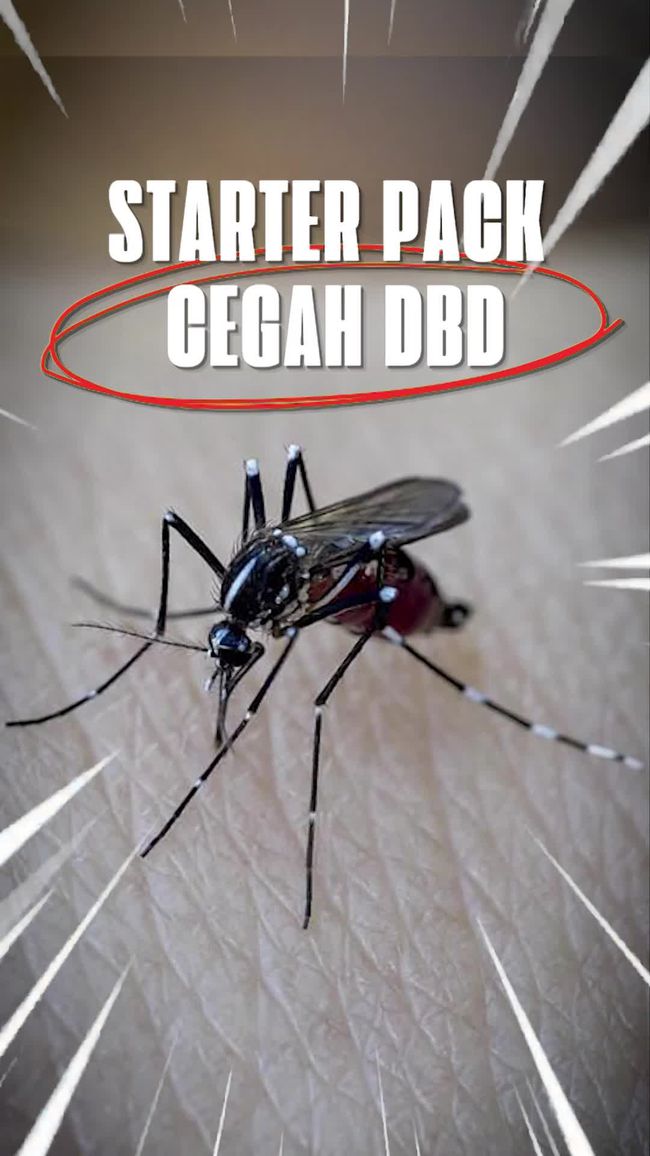 Langkah-Langkah Penting untuk Mencegah Penyakit DBD