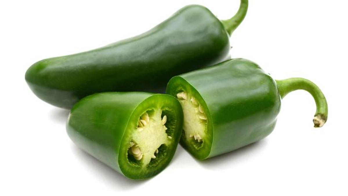 Wabah Salmonella Terkait Cabai Jalapeno Menginfeksi Ratusan Warga AS