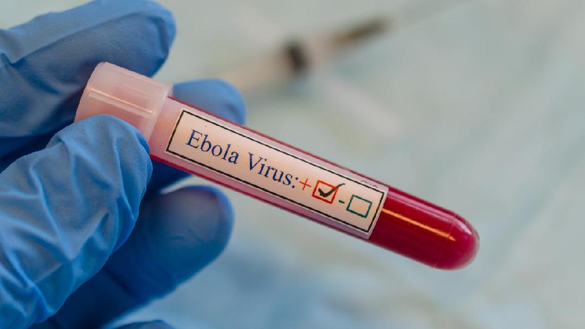 Kembali Munculnya Wabah Ebola di Kongo, 65 Nyawa Melayang