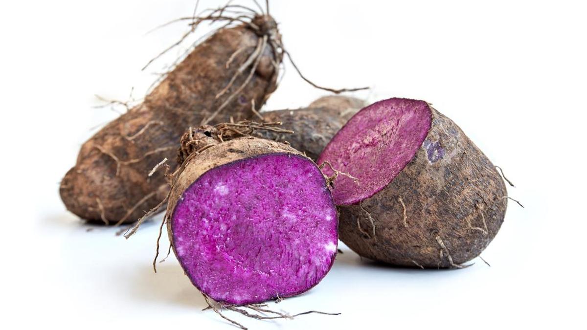 Fakta Menarik Tentang Ube: Warna Ungu dan Kandungan Antioksidannya