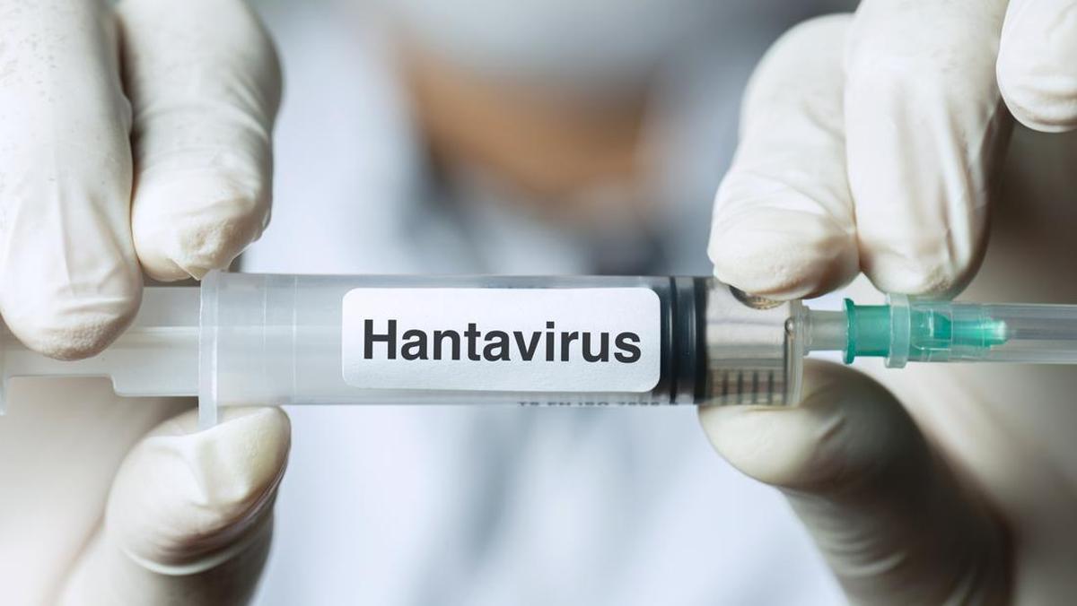 Peningkatan Kewaspadaan Hantavirus, Kemenkes Lakukan Skrining untuk Pelaku Perjalanan Internasional