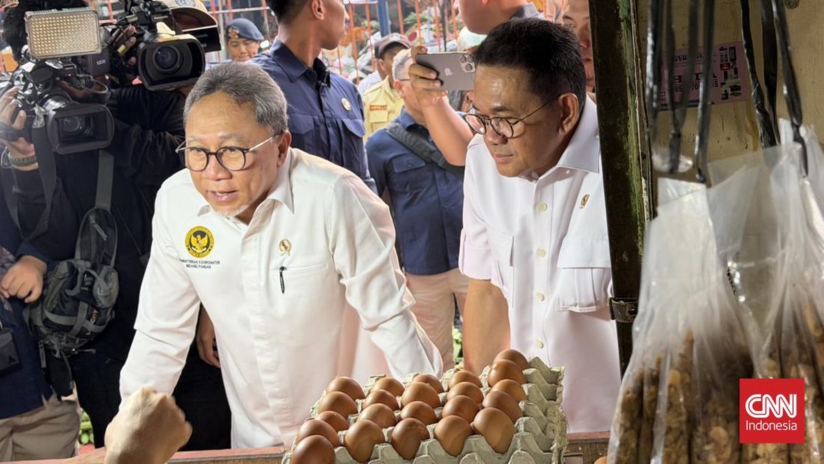 Zulkifli Hasan Pastikan Stok Pangan Nasional Aman dan Surplus